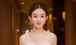 赵丽颖爆料王智视频大全,视频大全背后的惊人内幕