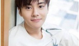 赵丽颖爆料王智视频大全,视频大全背后的惊人内幕