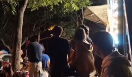 艺涵爆料墨子视频大全集,艺涵独家爆料，揭秘墨子智慧传奇