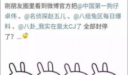 小宝带你吃瓜娱乐,小宝带你畅游吃瓜娱乐世界