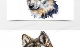 狼狗最新爆料图片大全