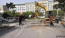 南阳学校爆料视频最新,揭秘校园内幕