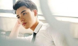 娱乐大爆料龚俊是谁,揭秘龚俊的星光之路