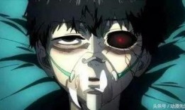 东京食种第一季在线观看,探寻都市美食与生存的奥秘