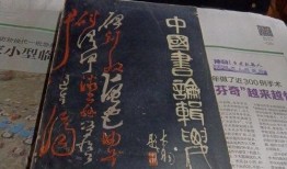 古董商网易爆料视频大全,视频大全中的珍稀古董故事