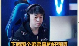 爆料小虎离队视频播放,视频揭秘转会背后故事