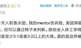 美团程序员最新爆料,揭秘内部技术革新与挑战