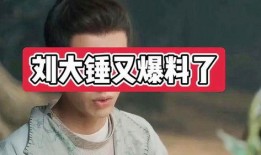 刘大锤最新爆料男闺蜜,男闺蜜背后的惊人真相