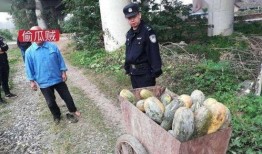 温县网红吃瓜事件视频曝光,视频曝光引发网友热议