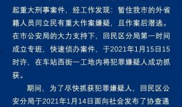 刑事案件爆料视频大全最新,追踪真相与正义