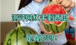 吃瓜网红套餐是真的吗,吃瓜网红套餐的真实性大揭秘！