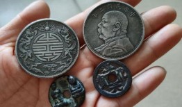 毒硬币今日爆料视频大全,揭秘热门视频背后的真相与内幕