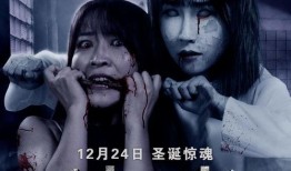 深山诡影爆料视频大全,视频大全背后的惊悚故事