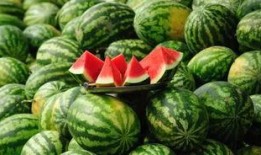 天津网红吃瓜事件,揭秘网络舆论的风暴与真相