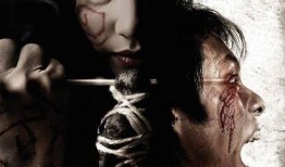 血降电影在线观看,在线惊悚盛宴，揭秘神秘诅咒之谜