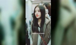 飞机明星爆料视频