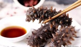 妖怪爆料海参视频播放,妖怪视角下的神秘生物奇观