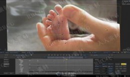 大爆料制作视频教程全集,一网打尽实用技能，轻松入门与进阶