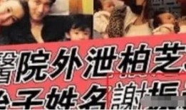 三胎生父爆料视频大全下载,视频大全下载背后的真相与争议