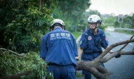 爆料蓝天救援队视频,视频曝光令人动容