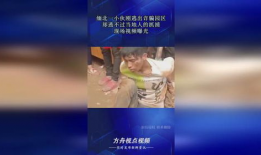 当地人的爆料视频在哪看,当地人爆料视频观看指南，一探究竟！