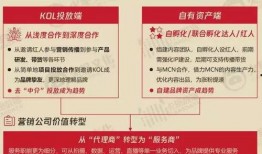 品牌干货爆料怎么做的视频,打造爆款内容的秘诀