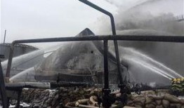 临沂企业爆料事件最新消息,揭露真相，企业生存困境引关注