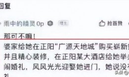 樊小慧头条爆料视频,揭秘背后惊人真相