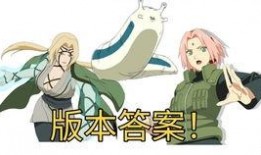 火影爆料女团是谁啊视频,揭秘神秘女团背后的故事