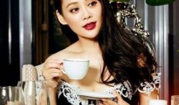 宁静爆料女星视频播放大全,女星视频播放大全揭秘