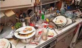 吃瓜厨房洗碗的网红,揭秘厨房清洁背后的辛酸与欢乐