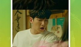 网红男生爆料视频大全下载,揭秘网络红人幕后真相