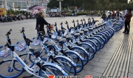 玉林自行车爆料最新消息,行业动态揭秘，市场格局再起波澜