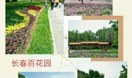 长春百花园爆料最新消息,揭秘花园盛事背后的精彩瞬间