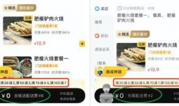 美团程序员最新爆料,揭秘内部技术革新与挑战