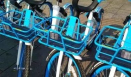 玉林自行车爆料最新消息,行业动态揭秘，市场格局再起波澜