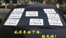 武汉环卫车爆料新闻视频,揭露城市清洁背后的不为人知故事