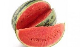 吃瓜网红前十名排行榜,揭秘网络红人的瓜田传奇