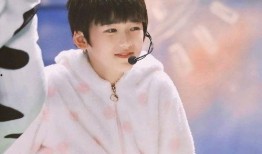 宋亚轩演唱会爆料视频大全,揭秘幕后爆料视频大全