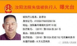 洛马工程师最新爆料,揭秘先进战机研发内幕与挑战