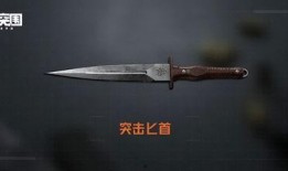 暗区突围最新爆料刀具,神秘刀具曝光，全新玩法即将解锁！