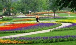 长春百花园爆料最新消息,揭秘花园盛事背后的精彩瞬间