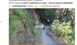 爆料青竹园视频在线观看,独家视频带你一探究竟