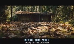 林中小屋在线观看免费,免费在线观看，沉浸自然之美