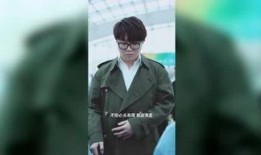 飞机明星爆料视频