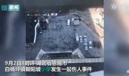 爆料湖北恩施事件视频,真相与争议交织