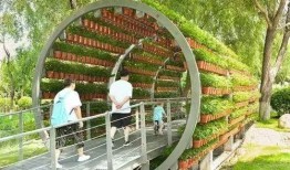 长春百花园爆料最新消息,揭秘花园盛事背后的精彩瞬间