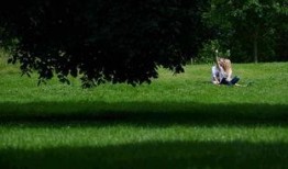 女子爆料破坏草地视频,一场生态破坏的警示