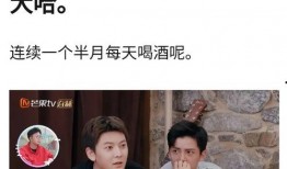 陈翔爆料视频大全最新,揭秘娱乐圈不为人知的幕后故事