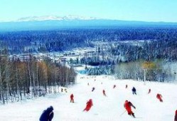 洛阳滑雪场爆料视频播放,冰雪奇缘，洛城新体验